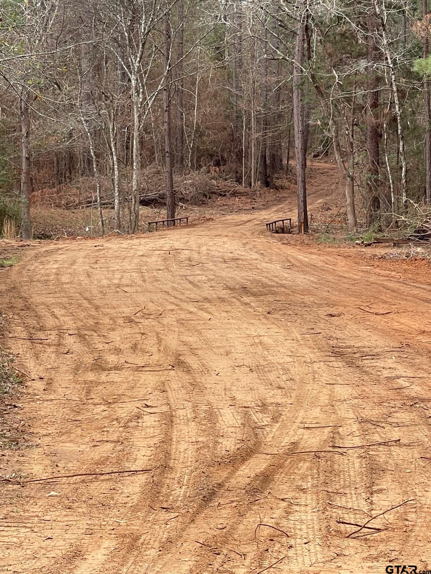 460-acres Off Watson Road Kilgore, TX 75662 - Photo 6 of 38