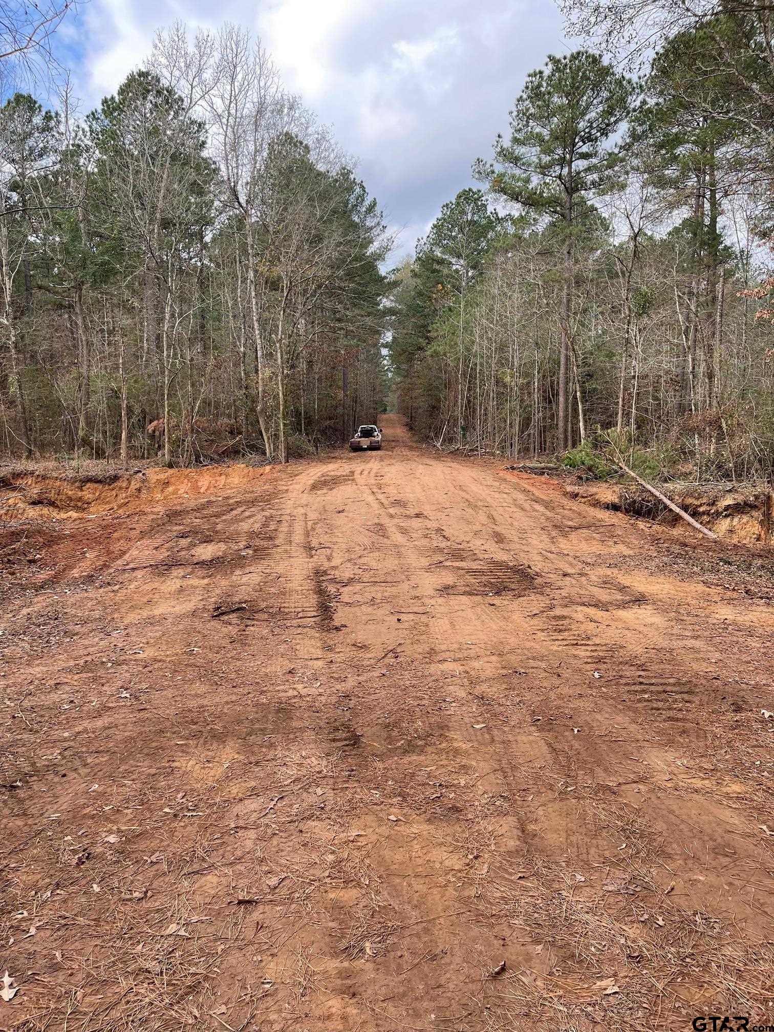 460-acres Off Watson Road Kilgore, TX 75662 - Photo 7 of 38