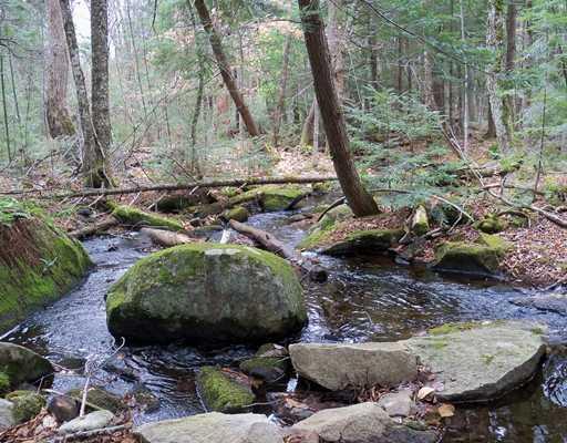 Lot 1 Mcgregor Road Burlington, ME 04417 - Photo 6 of 25 View. Stream boardering the property...