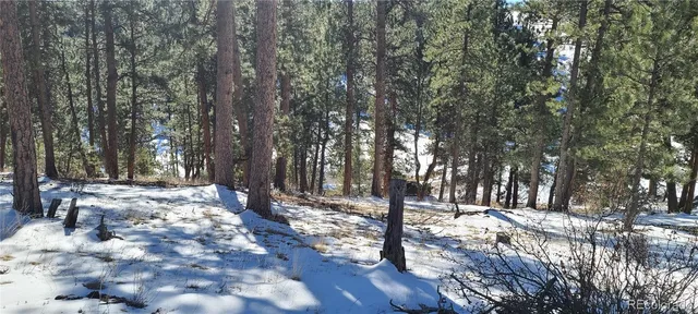 a view of a yard with trees
