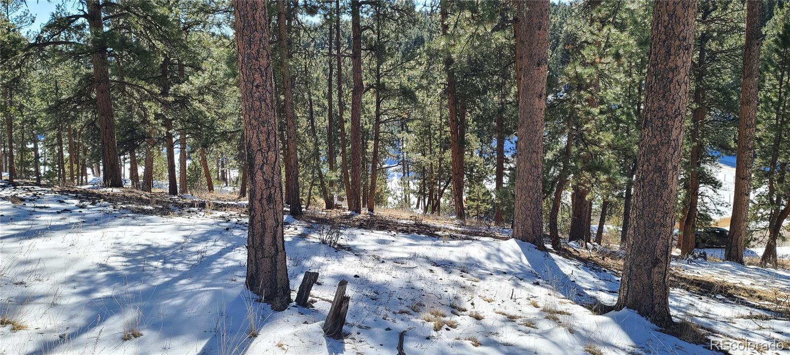 1493 Pinedale Ranch Circle Evergreen, CO 80439 - Photo 14 of 19 a view of a yard with trees