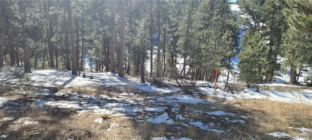 a view of a yard with trees