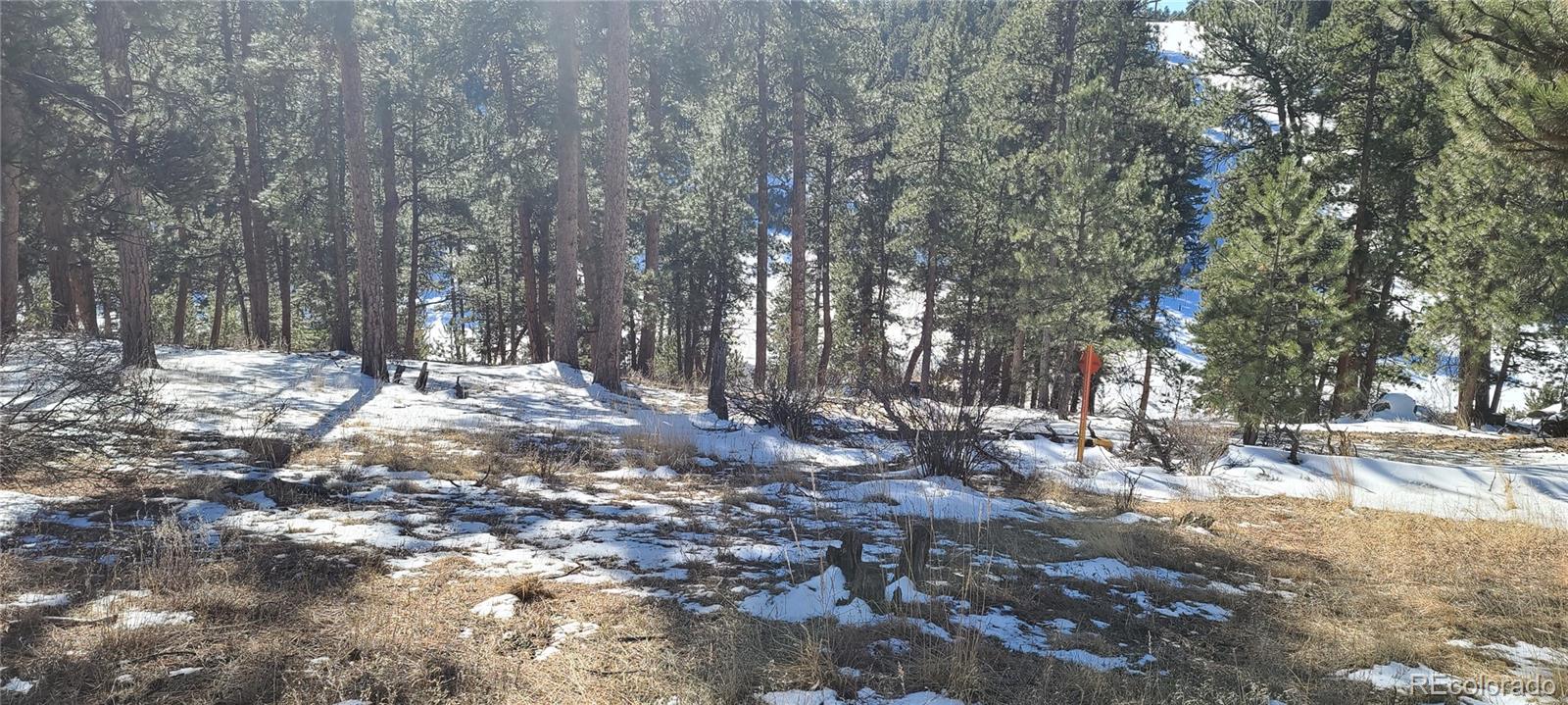 1493 Pinedale Ranch Circle Evergreen, CO 80439 - Photo 16 of 19 a view of outdoor space with trees