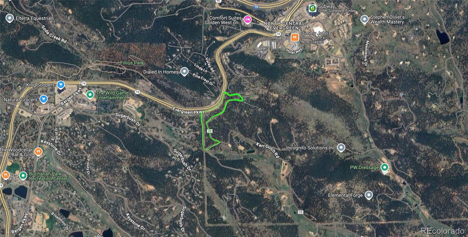 1493 Pinedale Ranch Circle Evergreen, CO 80439 - Photo 18 of 19 a picture of tree