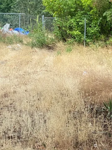 a view of a yard with plants and wooden fence