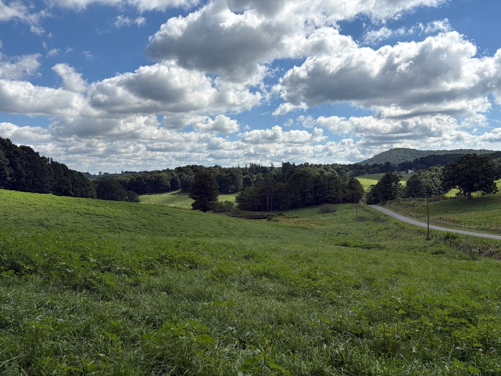 Tbd Breezy Ridge Road Woodlawn, VA 24381 - Photo 35 of 41 Gallery Image 35