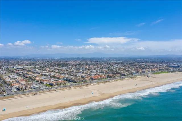 a sink with a potted plant on it