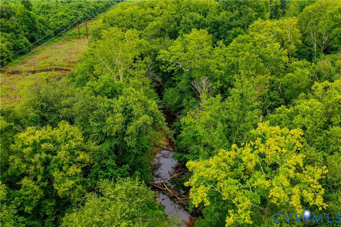 0 Fox Hill Road Rice, VA 23966 - Photo 11 of 16 a view of a lush green forest with lots of trees