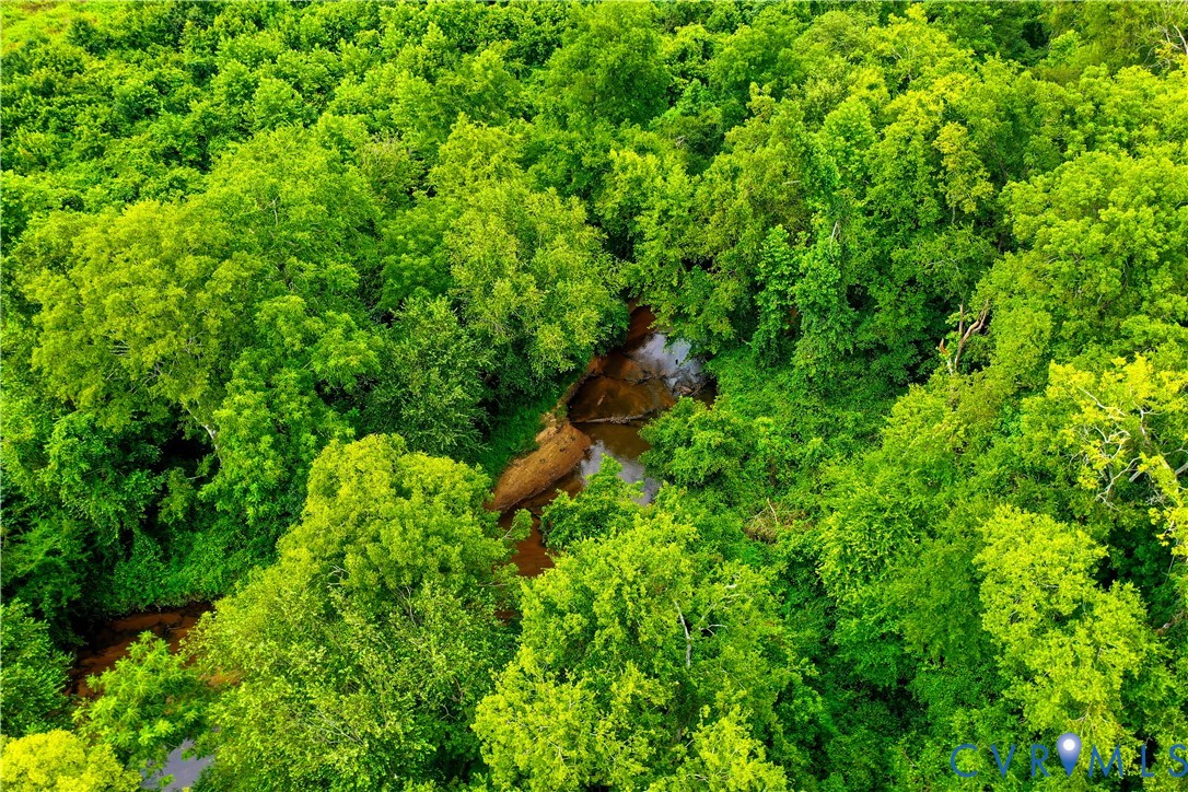 0 Fox Hill Road Rice, VA 23966 - Photo 12 of 16 a backyard of a house with lots of green space