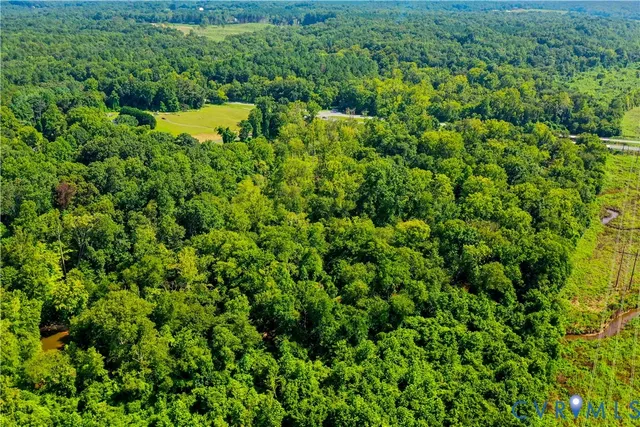 a view of a lush green forest with lots of trees