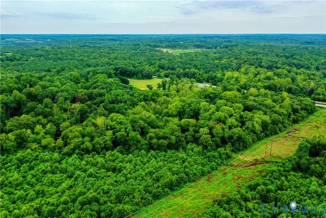 a view of a big yard with plants and large trees