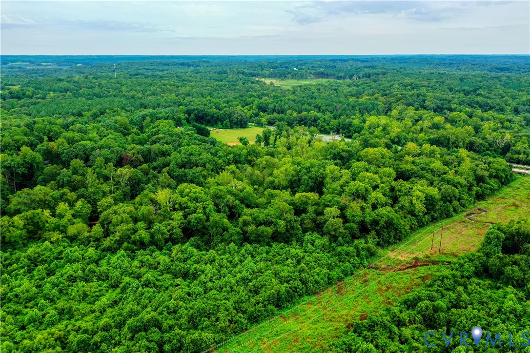 0 Fox Hill Road Rice, VA 23966 - Photo 5 of 16 a view of a big yard with plants and large trees