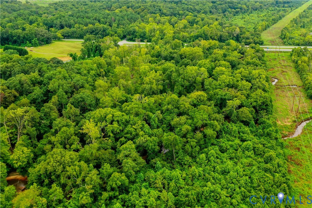 0 Fox Hill Road Rice, VA 23966 - Photo 8 of 16 a view of a garden
