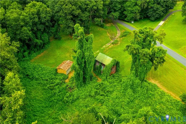 a backyard of a house with lots of green space and plants