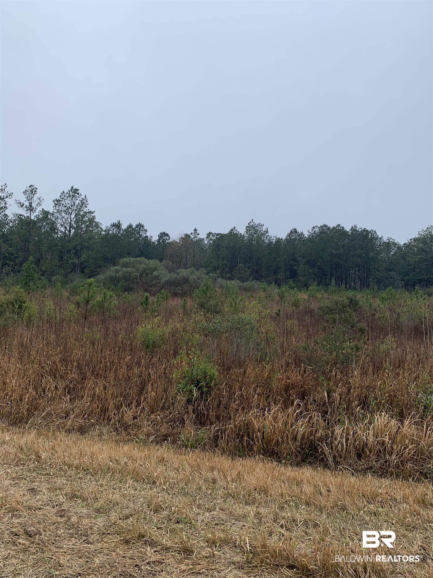 7211 Roscoe Road Gulf Shores, AL 36542 - Photo 3 of 3