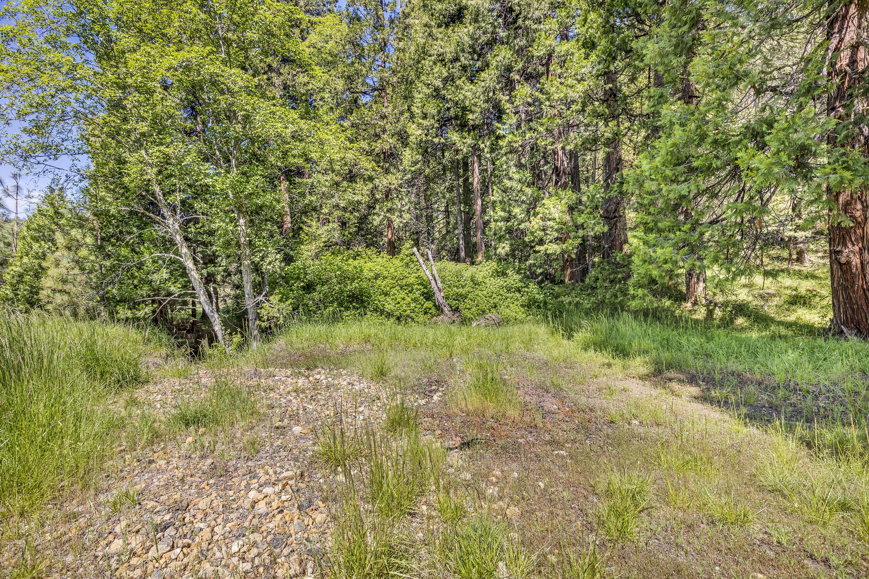 0 Riddle Bypass Road Riddle, OR 97469 - Photo 11 of 36 9R9A2509