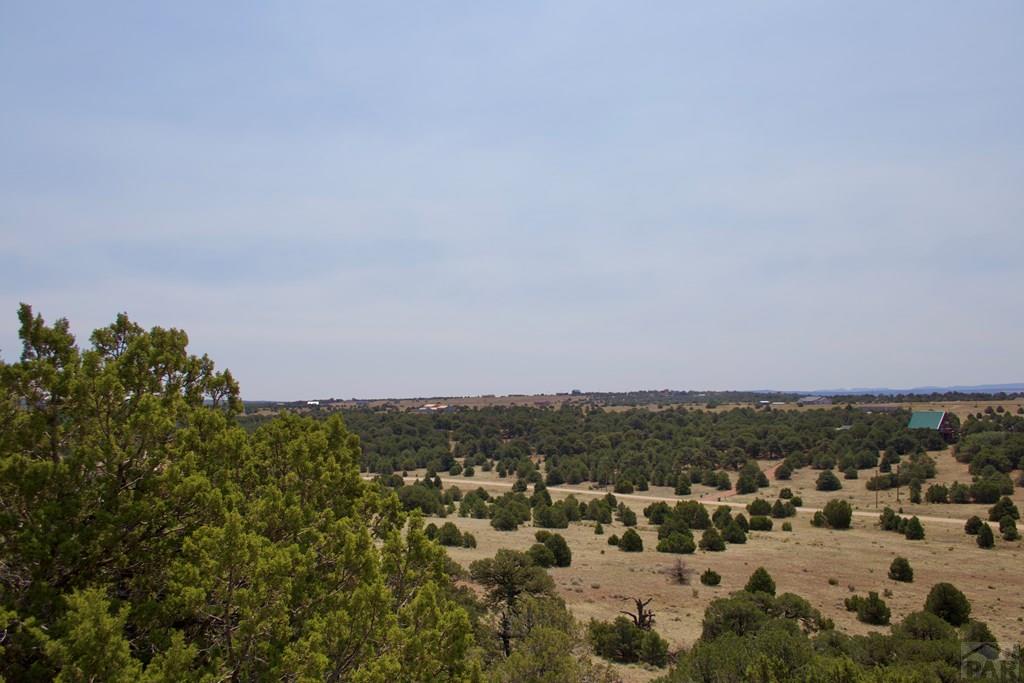 Unit #4 Unit Road Walsenburg, CO 81089 - Photo 22 of 36