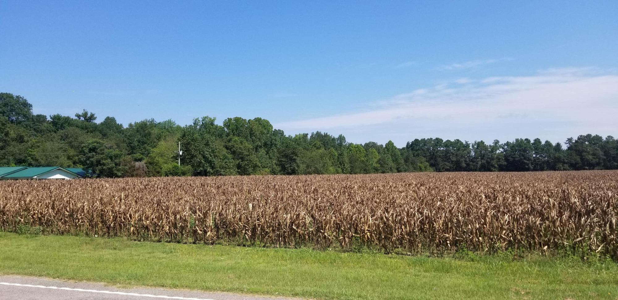 2226 Vance Road Vance, SC 29163 - Photo 2 of 4 2226 Vance