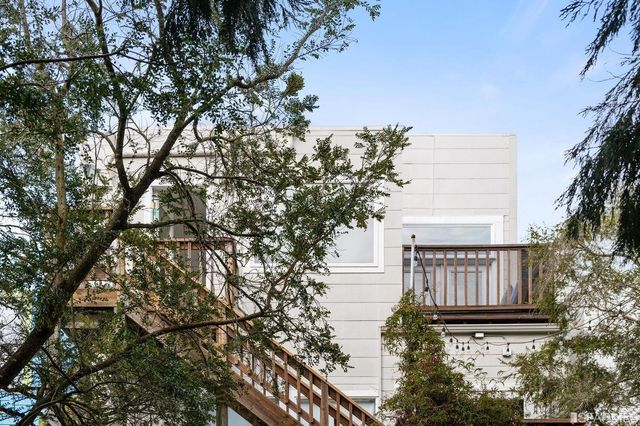 a plant that is in a garden