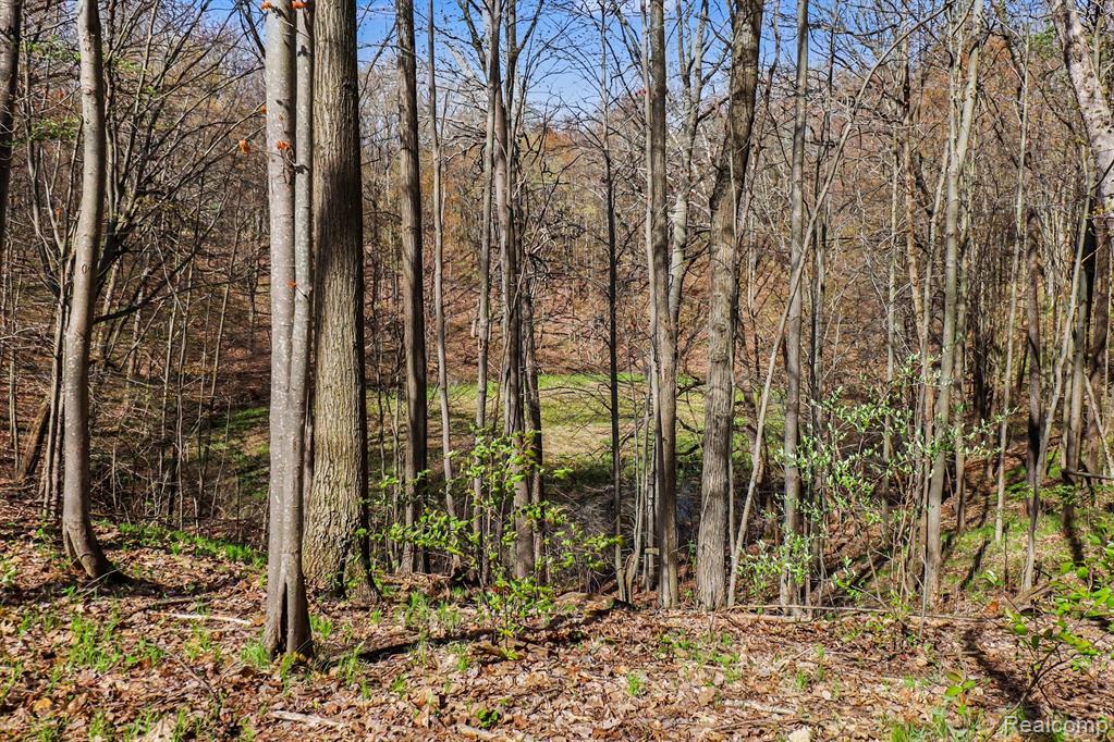8815 Milford Road Holly, MI 48442 - Photo 13 of 52