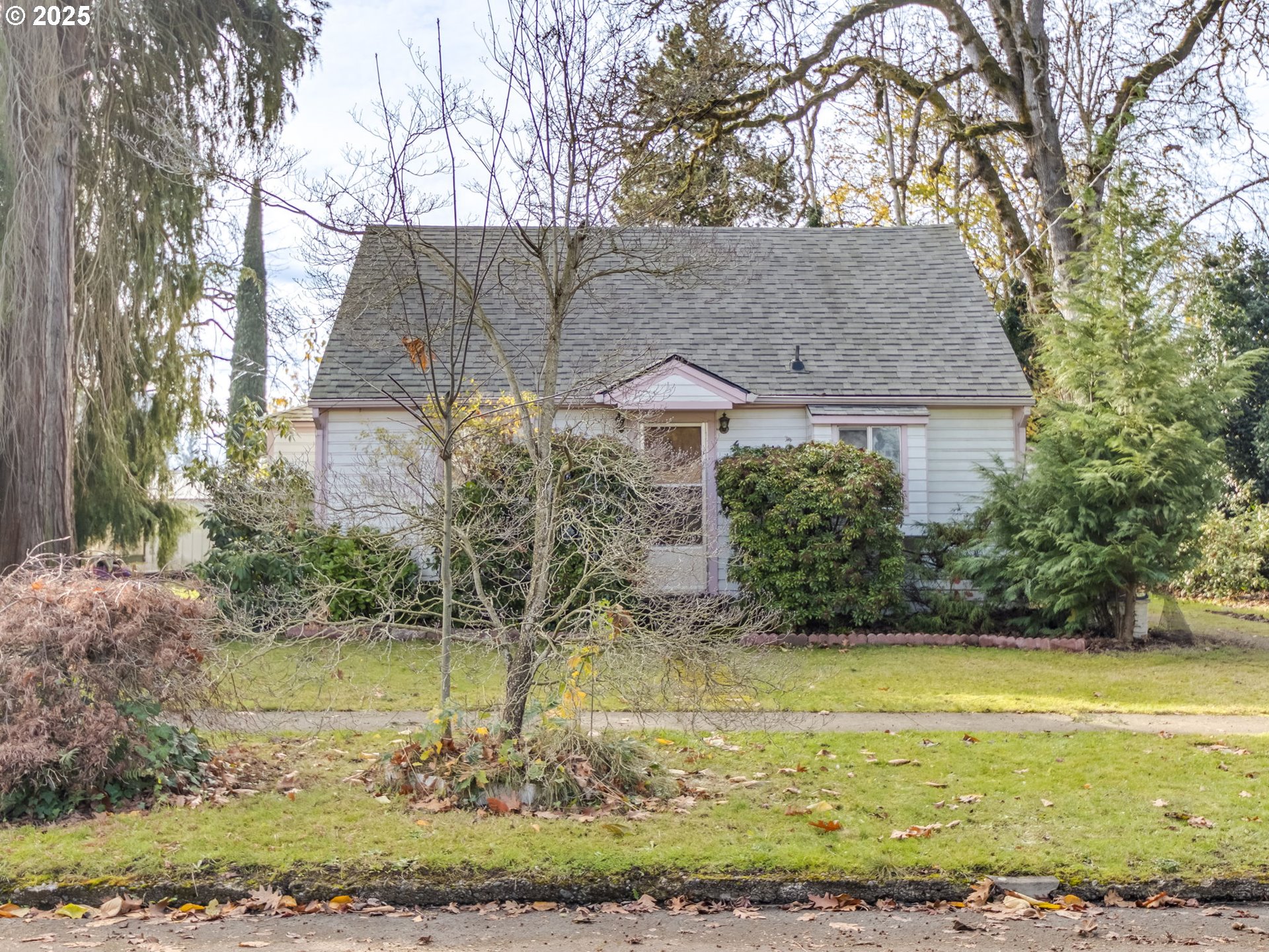 458 West Hayes Street Woodburn, OR 97071 - Photo 1 of 22 a front view of house with garden space and trees