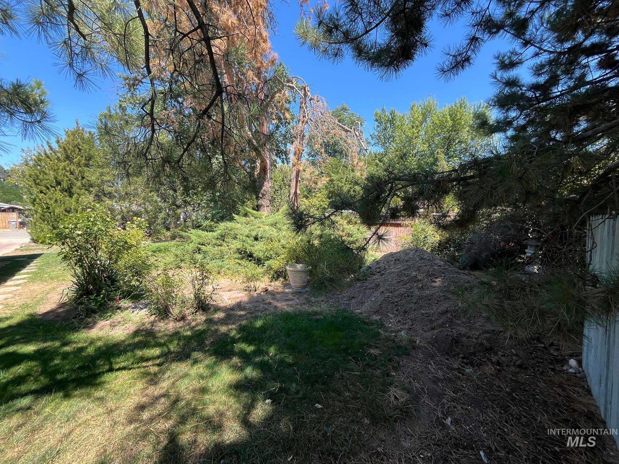 601 West Beeson Street Boise, ID 83706 - Photo 4 of 5 View of nature