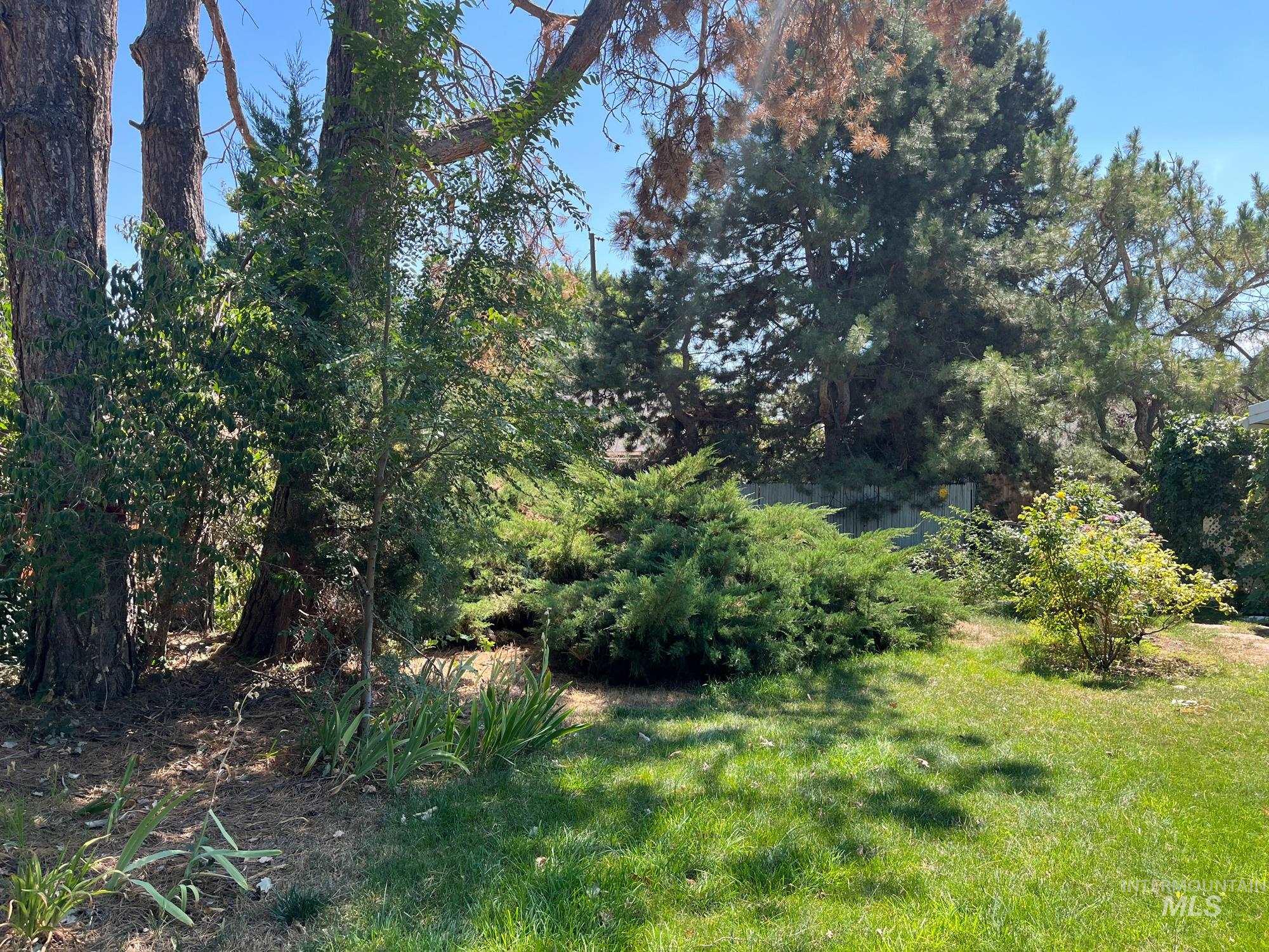 601 West Beeson Street Boise, ID 83706 - Photo 5 of 5 View of green lawn