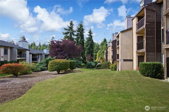 a view of a house with a big yard and large trees
