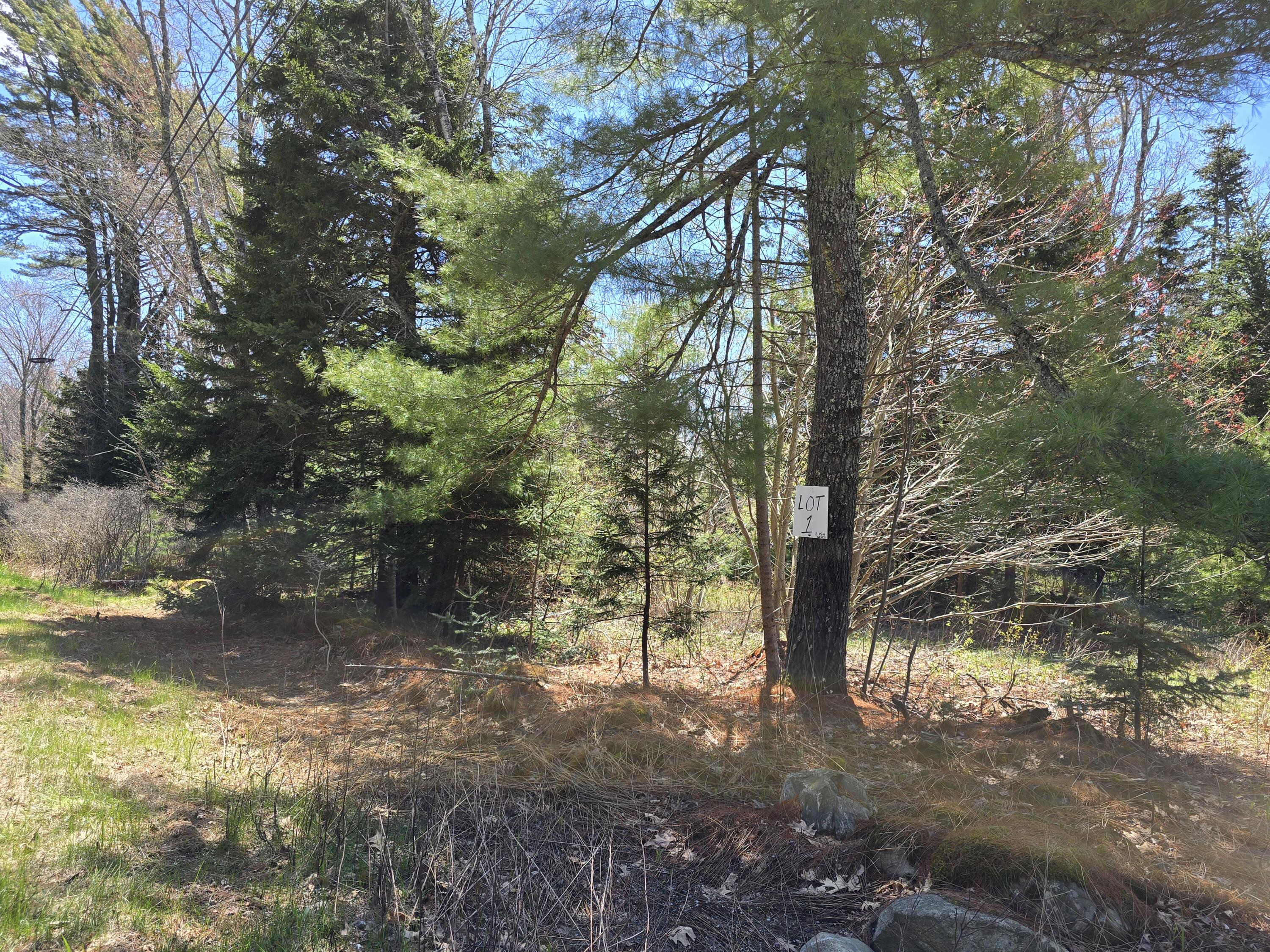 Lot #1 Turkey Cove Road Tenants Harbor, ME 04860 - Photo 3 of 3 20260507_111854