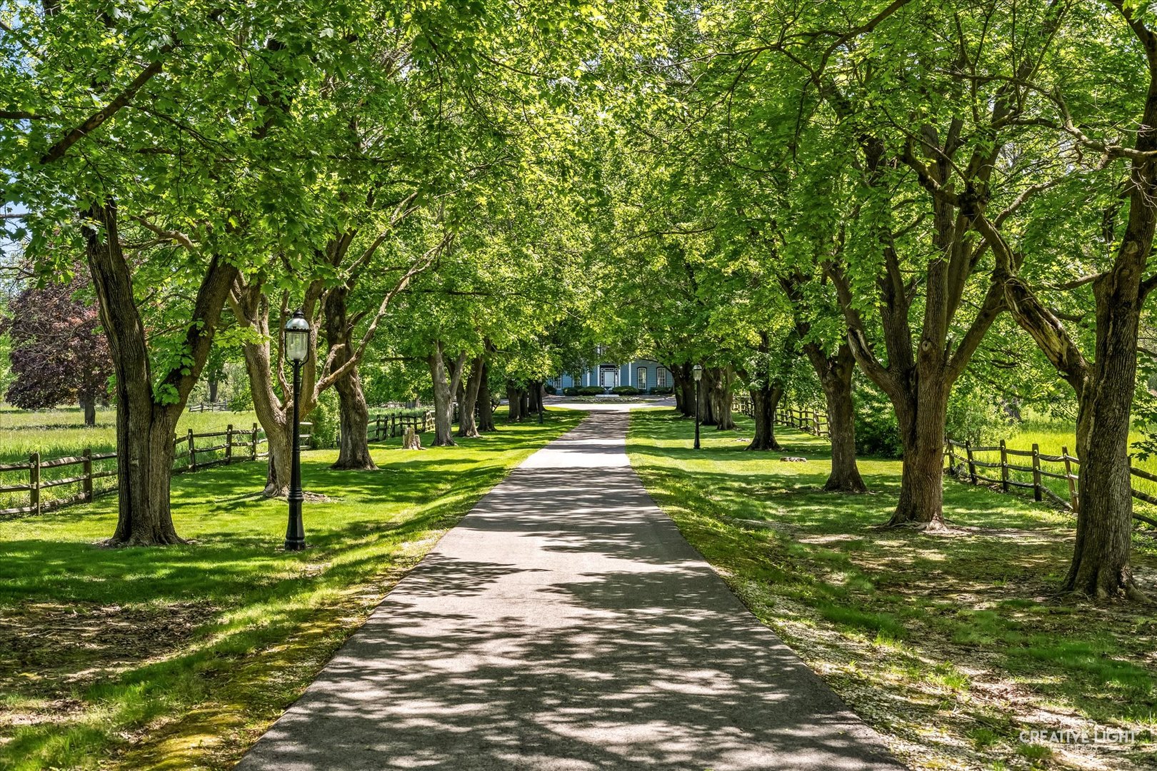 33W451 Surrey Road Wayne, IL 60184 - Photo 2 of 41 a view of a park with tree s