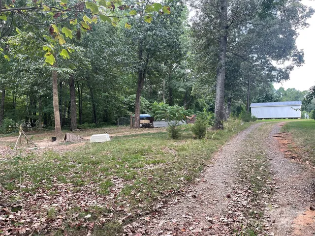 a view of a park with large trees