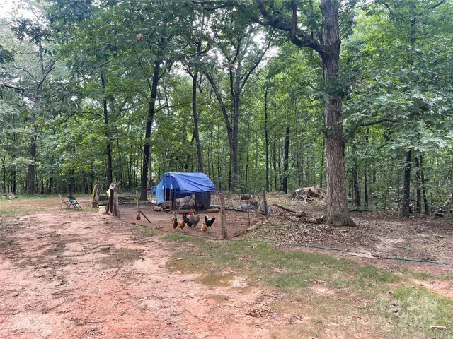 a view of a backyard with a table and chairs under an umbrella