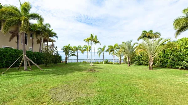 a view of a park and palm trees