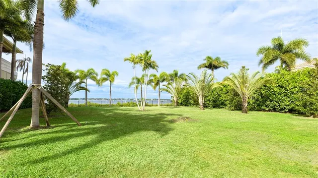 a view of a park and a palm tree