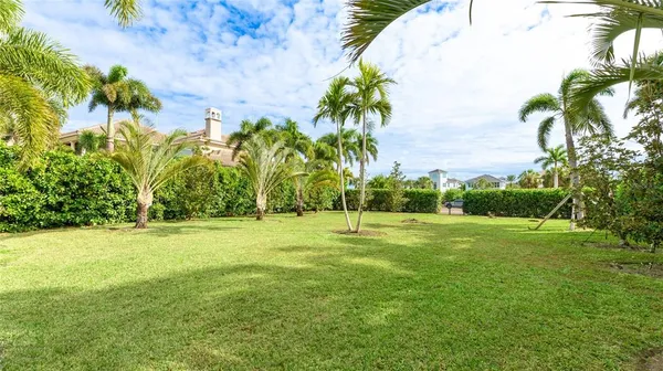 a view of a field with a tree