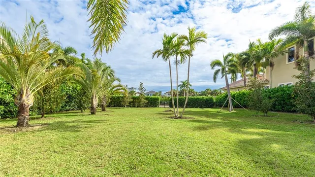 a palm tree sitting in a yard with a palm trees
