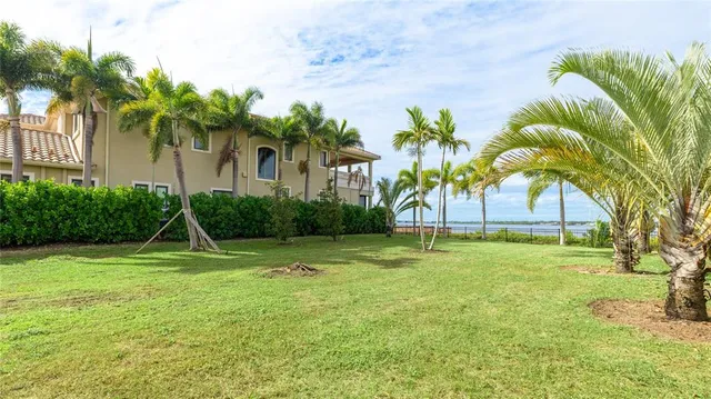 a view of a backyard with palm trees