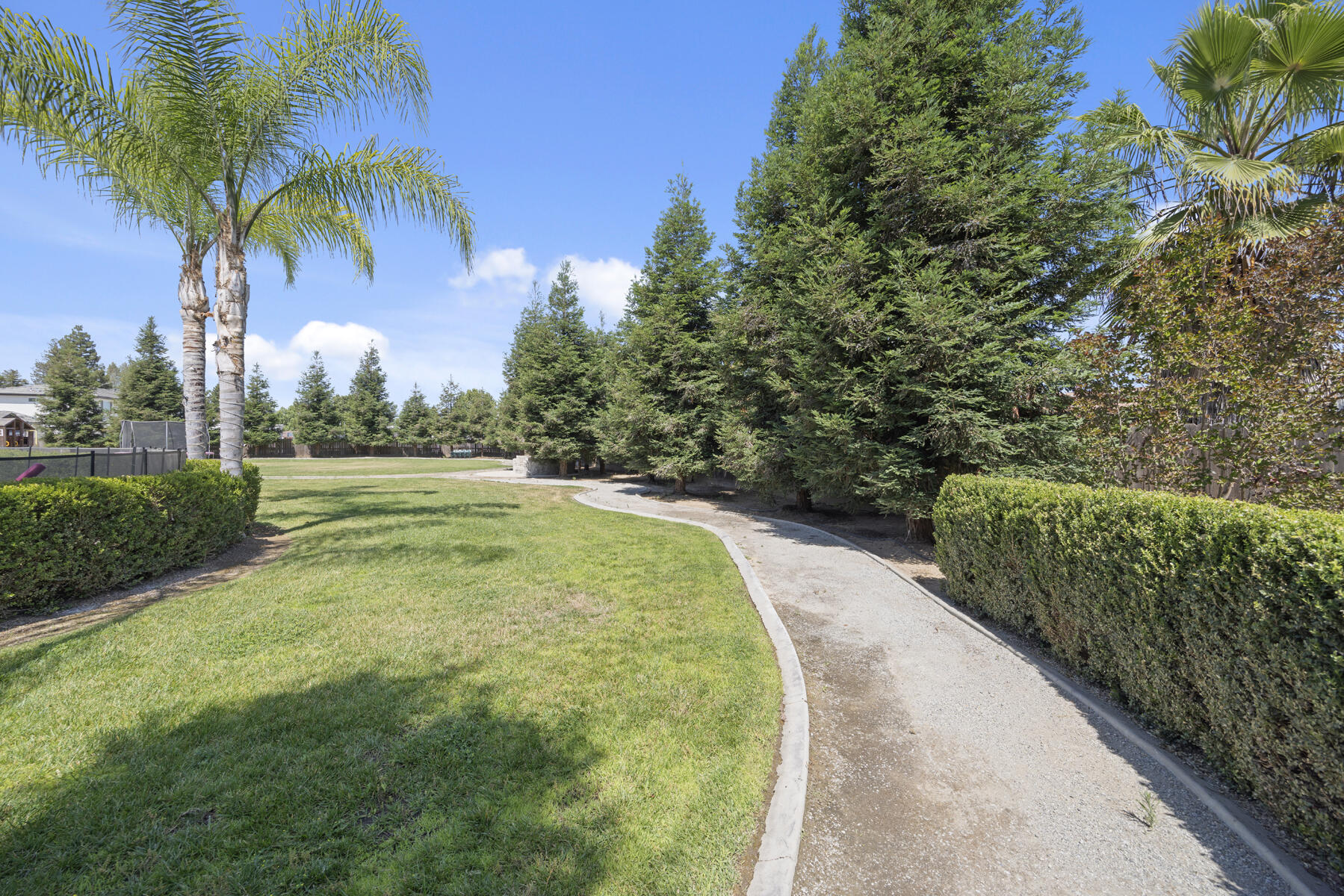 2208 West Benton Court Exeter, CA 93221 - Photo 69 of 84 69 - Back yard (6)