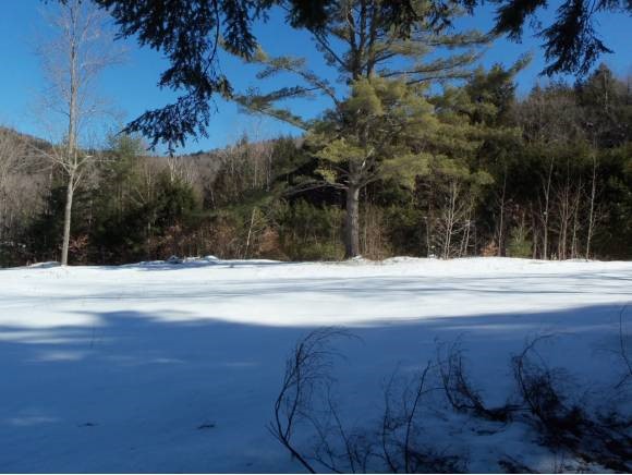 Lot 3 Arnold Mountain Road Stockbridge, VT 05772 - Photo 8 of 8 Gallery Image 8