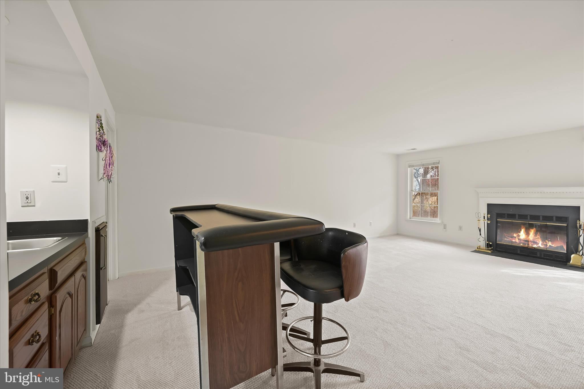 4750 Rams Horn Row Ellicott City, MD 21042 - Photo 45 of 54 Lower Level Family Room