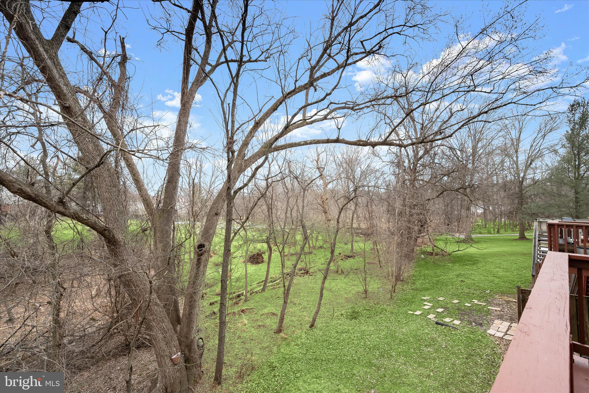4750 Rams Horn Row Ellicott City, MD 21042 - Photo 48 of 54 a backyard of a house with lots of green space