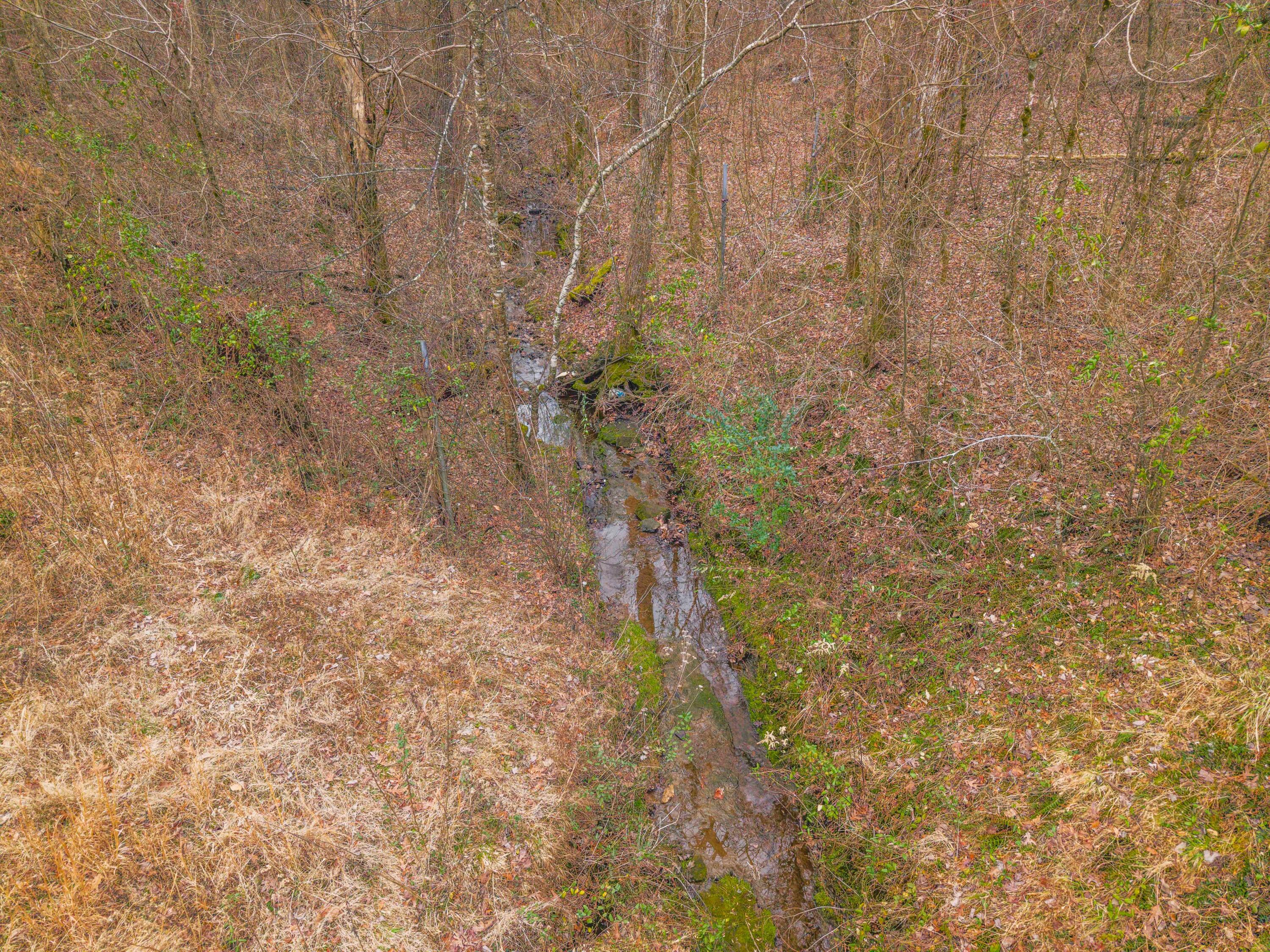 77 Barnett Road Russell Springs, KY 42642 - Photo 26 of 36 77 Barnett Photo-23