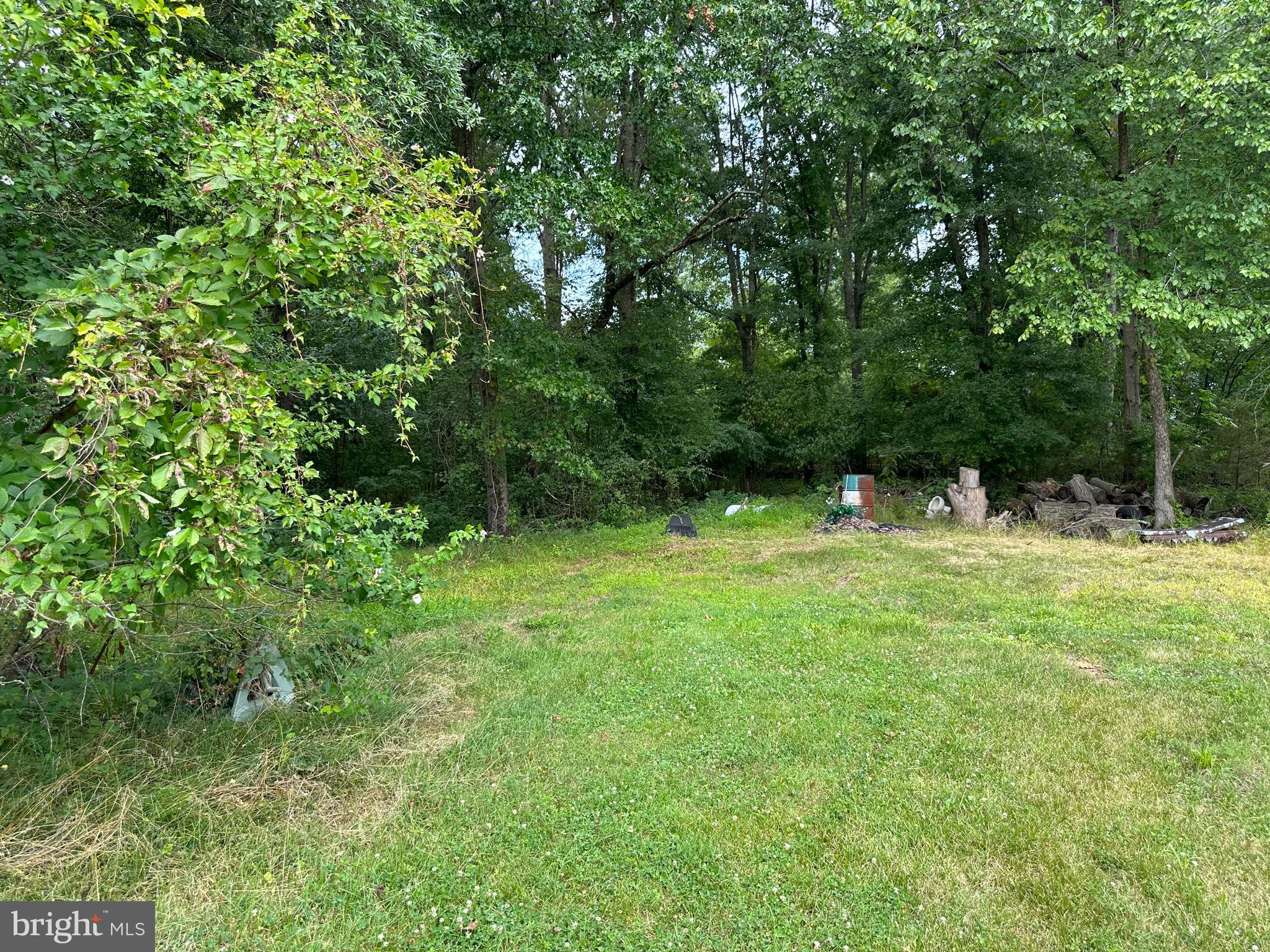 19522 Batna Road Culpeper, VA 22701 - Photo 11 of 16 Gallery Image 11
