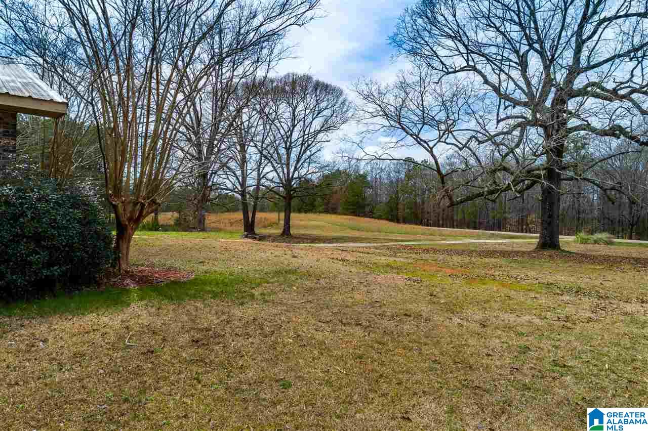 4199 Cowpens Road Alexander City, AL 35010 - Photo 44 of 50