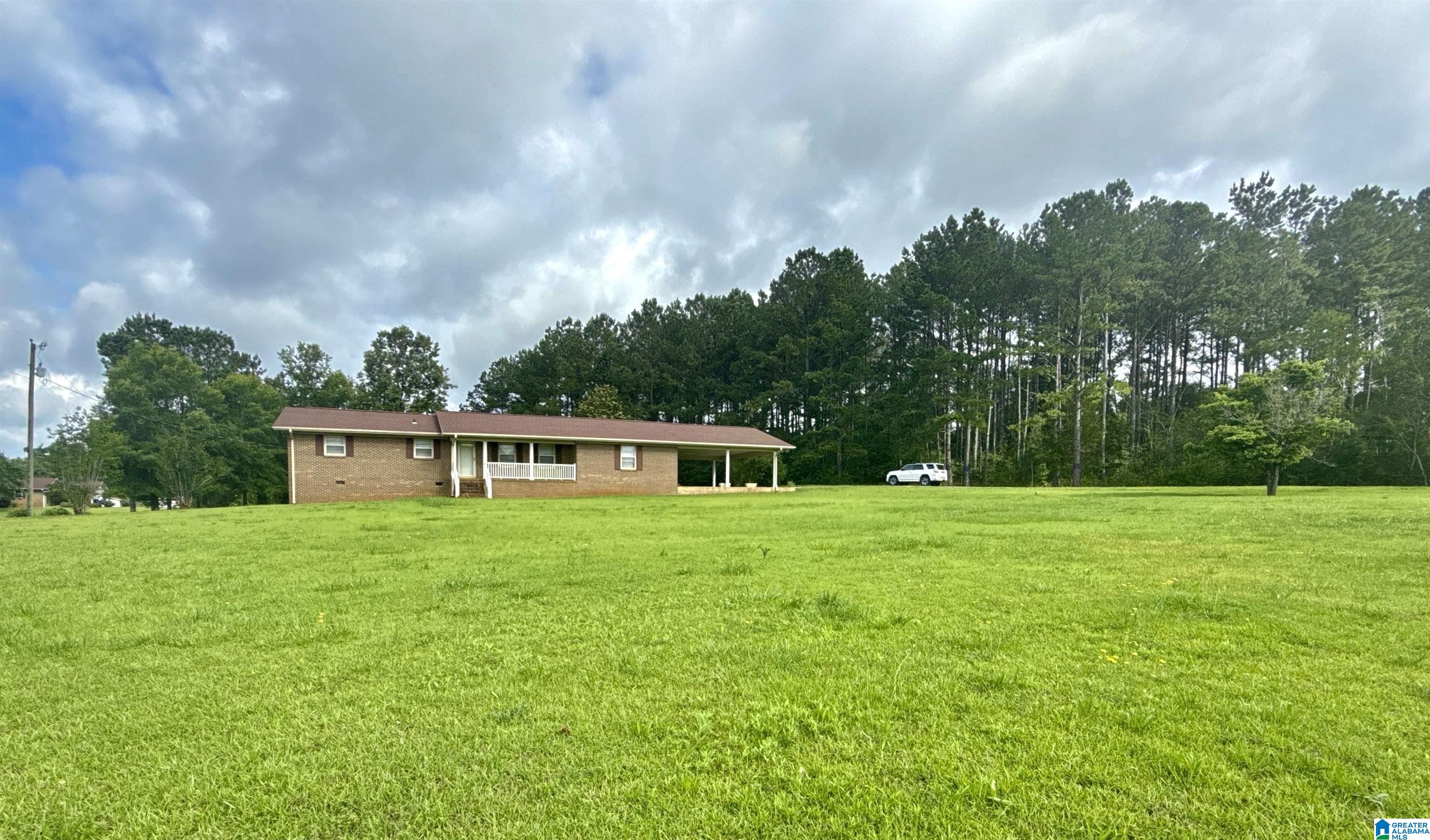 9230 Grist Mill Road Childersburg, AL 35044 - Photo 3 of 32