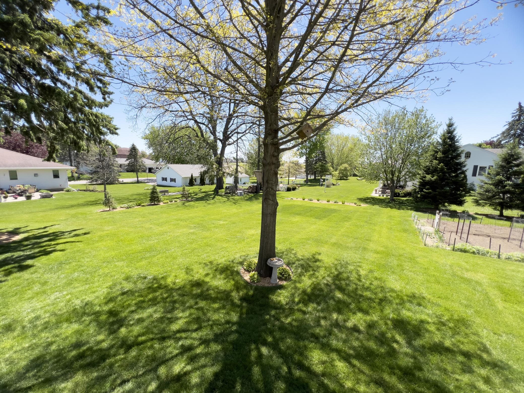803 South Pine Street Caledonia, MN 55921 - Photo 5 of 33