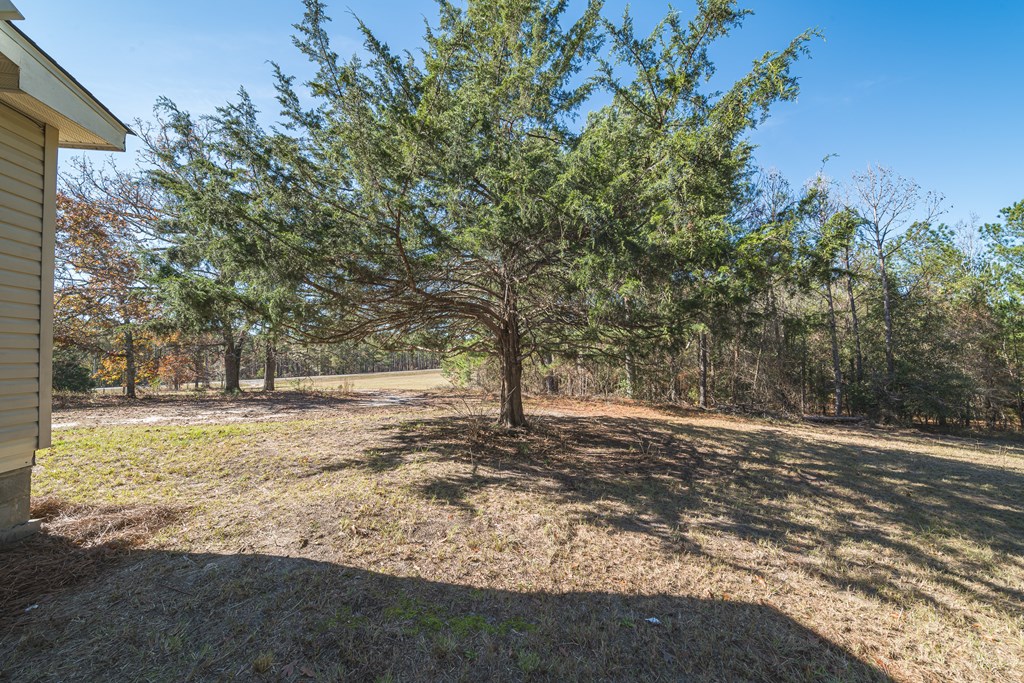 1270 Dr Brooks Road Box Springs, GA 31801 - Photo 29 of 36 Gallery Image 29