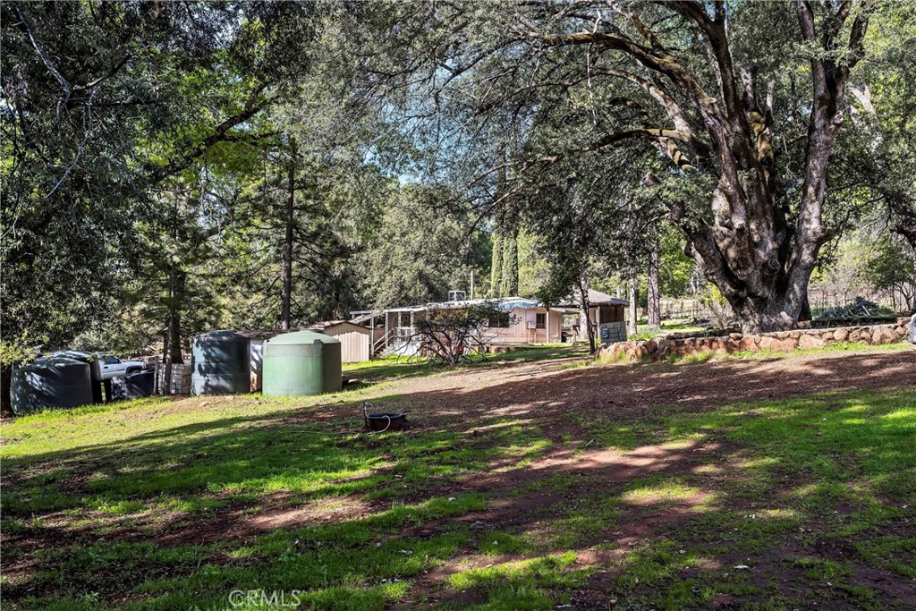 13988 Noble Ranch Road Lower Lake, CA 95457 - Photo 23 of 36 a view of a park with large trees