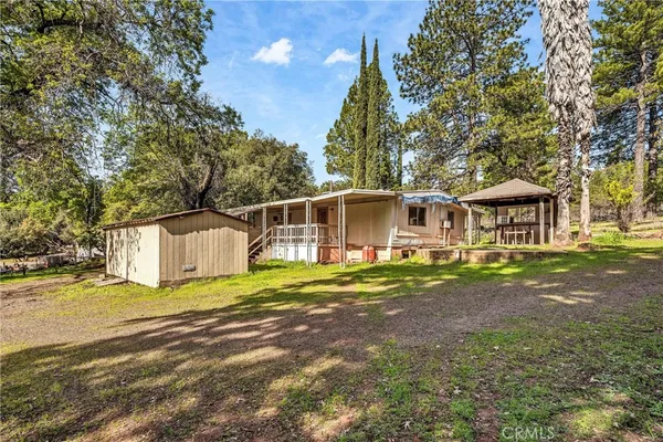 a view of a park with large trees