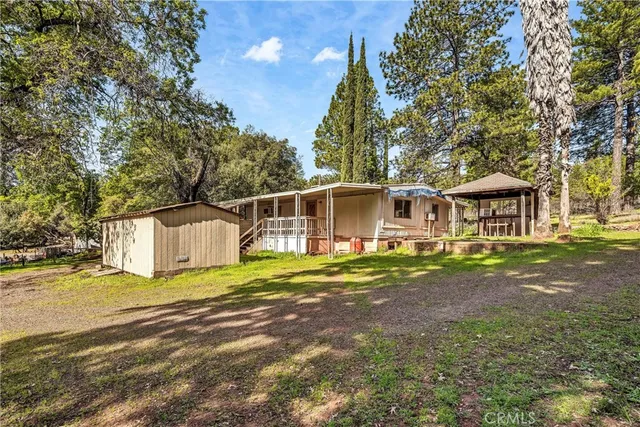 a view of a park with large trees